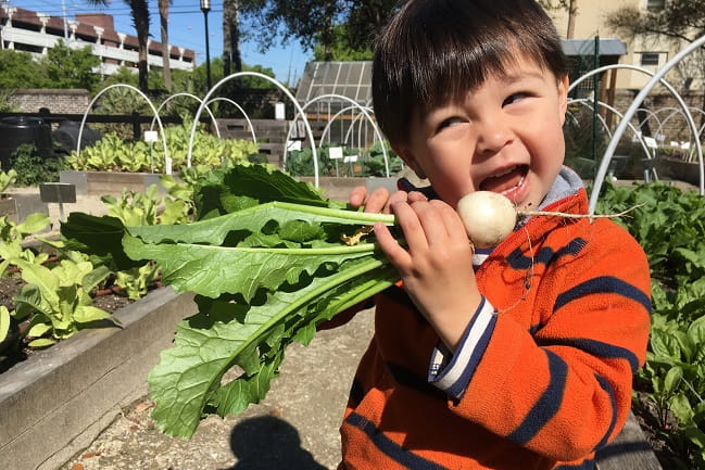 MUSC Urban Farm Volunteer eats a turnip